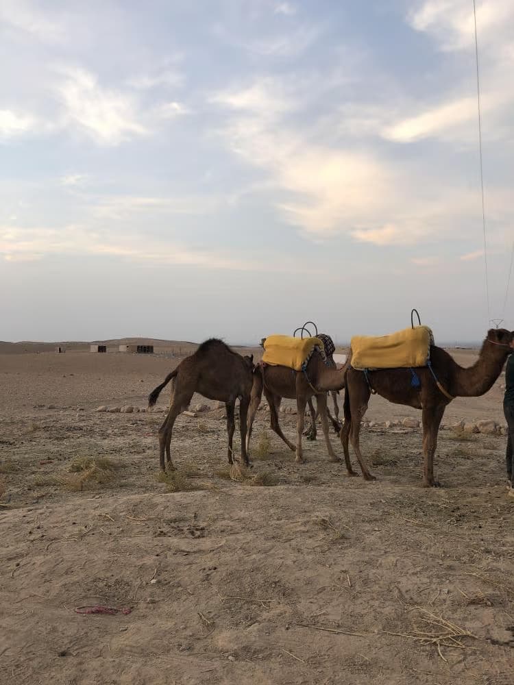 Almuerzo marroquí en el campamento del desierto de Agafay